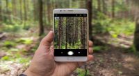 Neu im GeoPortal.MV: Wander-App zum Naturparkweg MV