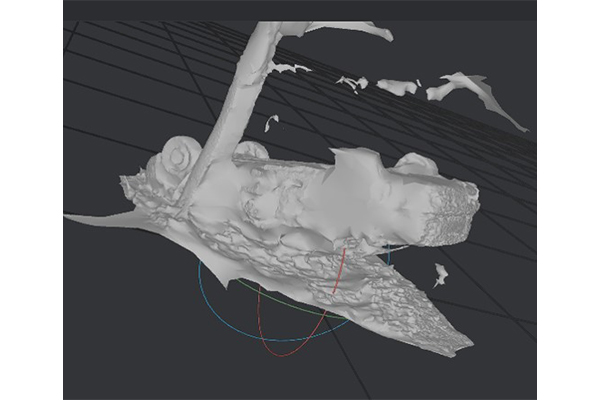 Structure from Motion einer Unfallsimulation © LAiV