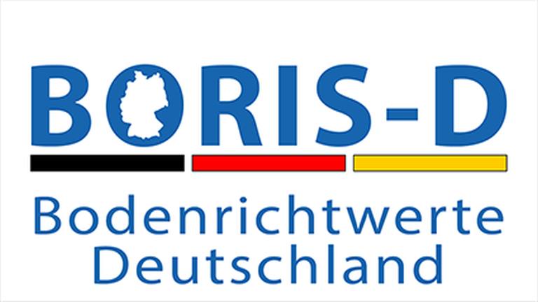 LOGO BORIS-D