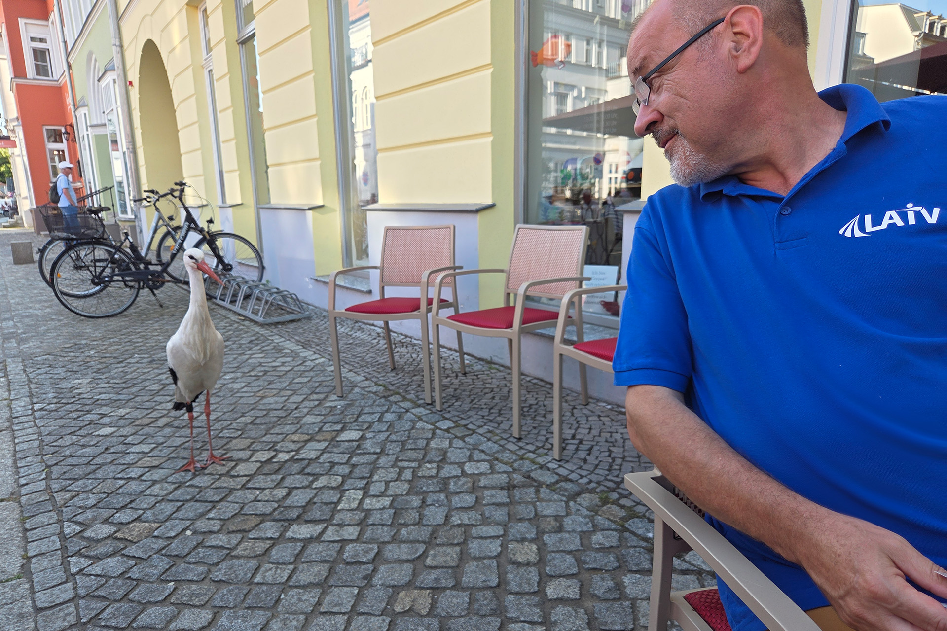 MV-Tag 2025 - Die Storchendame leistete dem LAiV-Team Gesellschaft beim Abendessen auf dem Markt. © Landesamt für innere Verwaltung, 2025