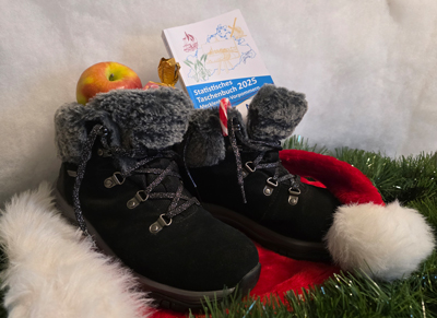 Taschenbuch im geputzten Schuh